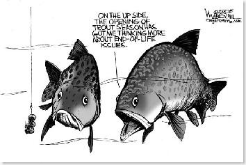 funny trout