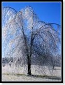 Ice5