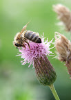 DSCF1438.JPG