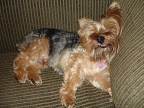 DSC01437.JPG