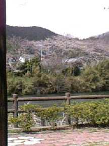 お弁当食べながら景色