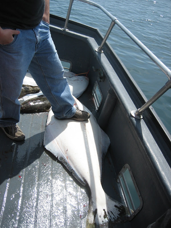 World Record Fluke