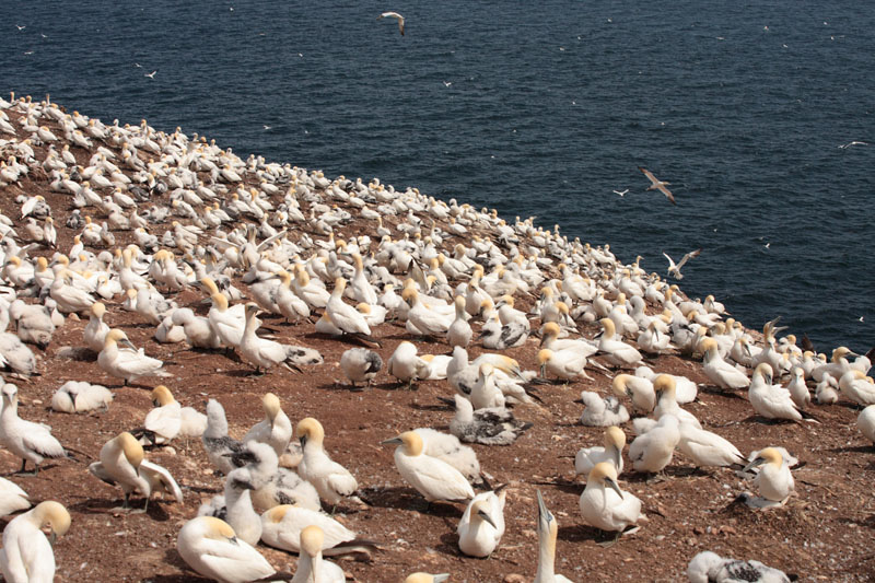 IMAGE: http://lh5.google.com/daniel.alb/RuRAEDM0aYI/AAAAAAAABJc/7IsX5IQT924/s800/IMG_2451_800.jpg