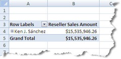 Excel 2007 PivotTable with Dimension Security