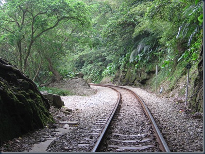 山中林道之美