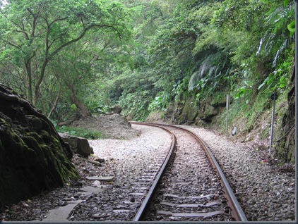 山中林道之美