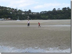 tide