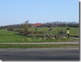 Countryside near Arnhem 2