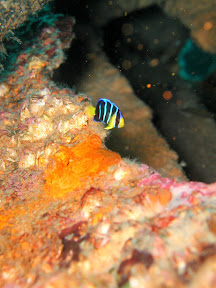 P1010027.jpg