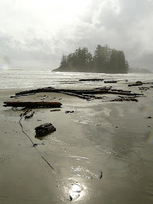 Nice beach scene