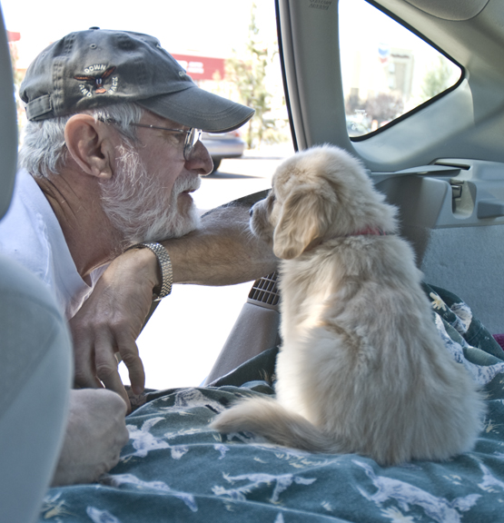DSC_0098 best of friends already with cody so attentive to dave en az.jpg