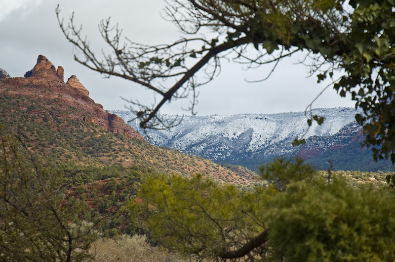 DSC_6500 looking through an arched branch at red rocks and snow in sedona eileen nauman.jpg