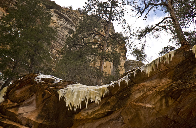 DSC_6908 ice necklace at top west fork trail en az.jpg