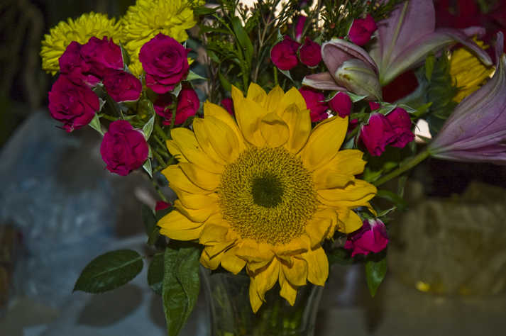 DSC_6692 dave gave eileen this bouquest of flowers en az.jpg
