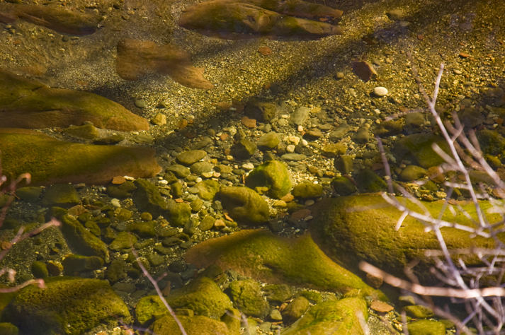 DSC_6744 crystal clear oak creek with emerald color westfork en az.jpg