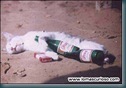 borracho_g