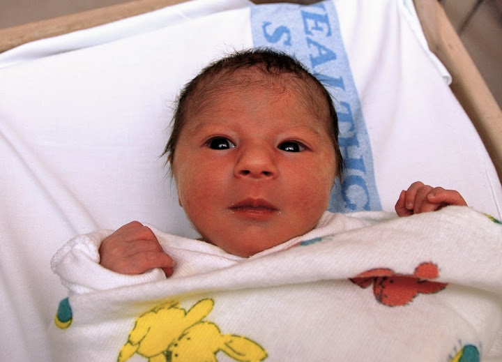 Carmel Nur Sedghi