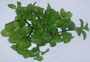 health benefits of peppermint