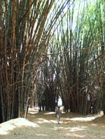 CIMG0245