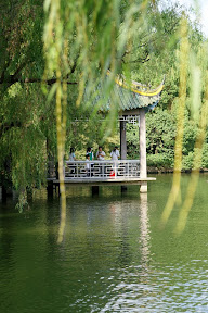 http://lh5.google.com/fotoByMe/RTI20gdAABI/AAAAAAAABwk/f92nXktC9c8/s288/PICT0215.JPG