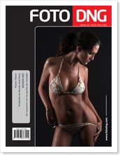 portada_n019_miniatura
