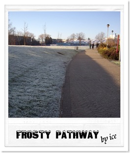 frost9