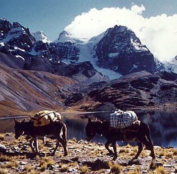 pakezels in bolivia