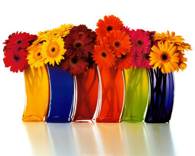 IMAGENS LINDAS, Aug 4, imagens lindas. IMAGENS LINDAS, Aug 4,
