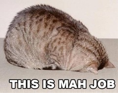 lolcat_this_is_mah_job[1]