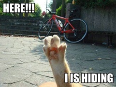 here-i-is-hiding[1]
