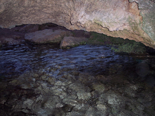 Nacimiento de la Toba