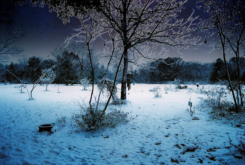 Christmas Snow 2004