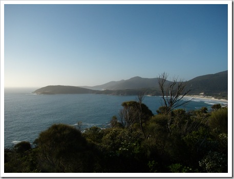 0710Wilsons Promontory 051