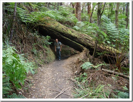 0710Wilsons Promontory 085