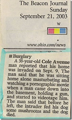 funny newspaper article