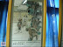 DSCN3420.AVI