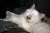 DSC05338.JPG