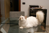 DSC05077.JPG