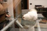 DSC05083.JPG