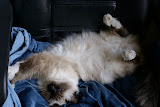 DSC05149.JPG