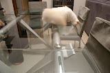 DSC05107.JPG