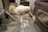 DSC05111.JPG