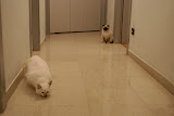DSC05125.JPG