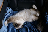 DSC05158.JPG