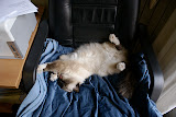 DSC05162.JPG