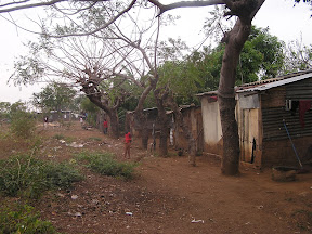P1011090.JPG