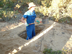 So mussten wir nur eine neue Grube ausheben, die Hütte umsetzen und die alte vollgelaufene Grube mit Erdreich bedecken.