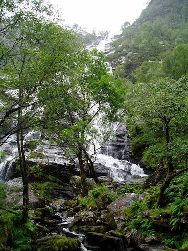 http://lh5.google.com/image/gouegd/RPNoRAE5ABI/AAAAAAAAACw/_ucJnG8xv_g/P1010046.JPG?imgmax=512