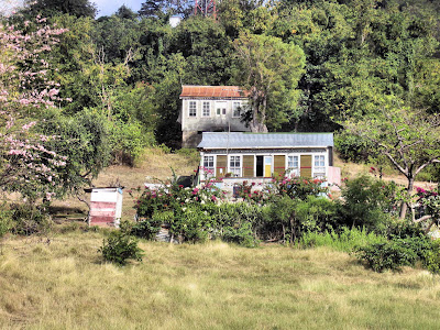 Petit Martinique Neighborhood