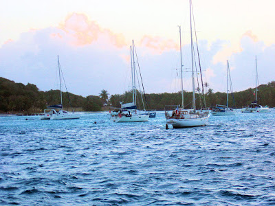 Mooring at Petit St. Vincent